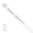 Ledvance LED Buis T8 Value (EM/Mains) Standard Output 15W 1620lm - 830 Warm Wit | 120cm - Vervangt 36W